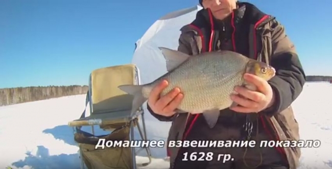 Лещ на 1600 грамм