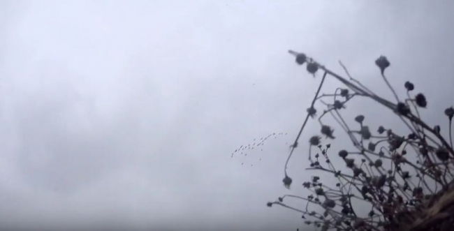 Охота на Охоту: Весенняя охота (Белая весна)