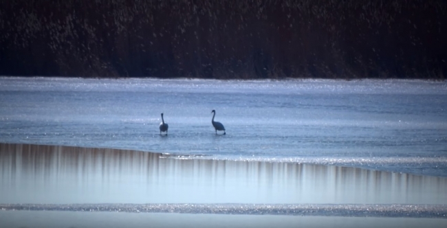 Весна 2016 (Рыбалка) Природа весной.