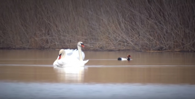 Весна 2016 (Рыбалка) Природа весной.