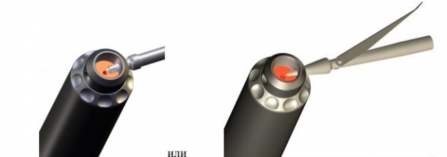 Вставить в поперечное отверстие задника хвостовик гарпуна или острие