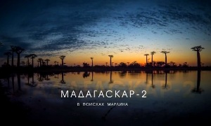 Мадагаскар 2 в поисках Марлина - фильм Олега Ляденко