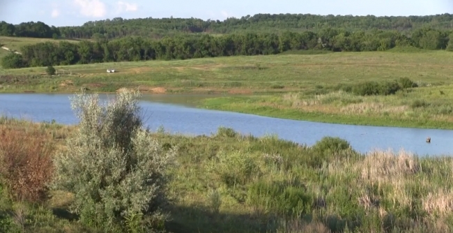 Охота на сурков