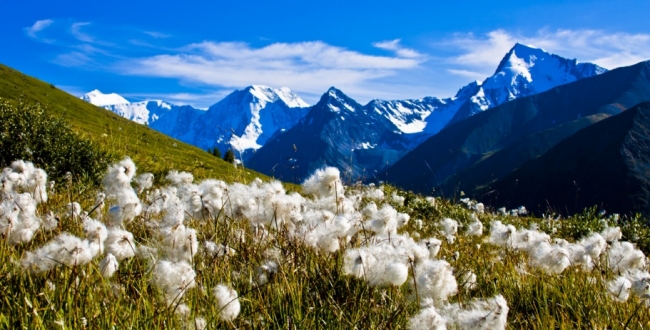 Охотничья экспедиция на Алтай