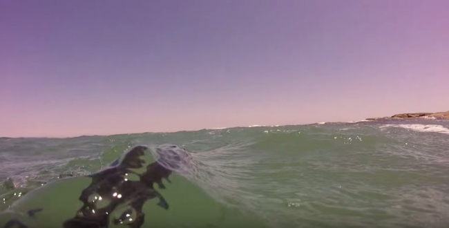 Заур Саидов: Подводная охота - сазан, кутум, карась, кефаль