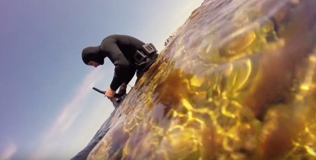 Заур Саидов: Подводная охота - сазан, кутум, карась, кефаль