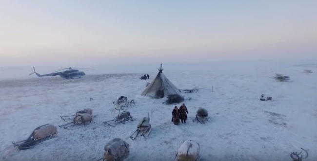 Как ненцы выживают в тундре