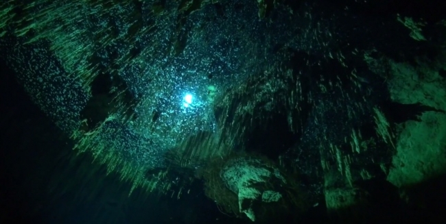 Cenote Dreamgate (Ворота мечты)