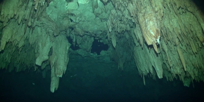 Cenote Dreamgate (Ворота мечты)