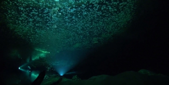 Cenote Dreamgate (Ворота мечты)