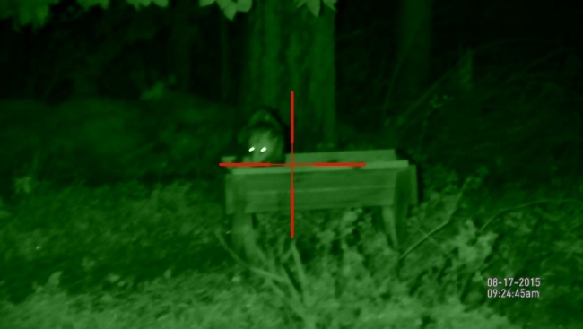 Применение ПНВ на охоте