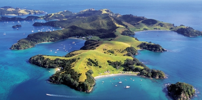 Подводная охота в Новой Зеландии