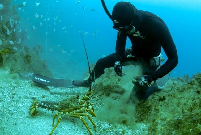 Подводная охота в Новой Зеландии