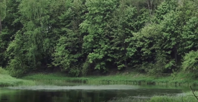 Рыбалка в сильный ветер