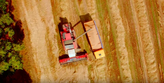 Зерновоз МАЗ