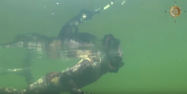 Подводная охота на озере глубоком, рецепт приготовления линя в сметанном соусе.