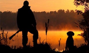 Охота и охотничье хозяйство