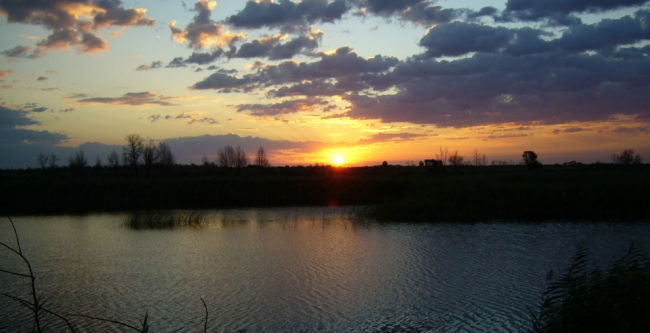 Топарские озёра