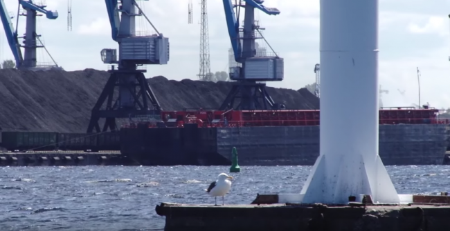 Ловля на маховую удочку в городе