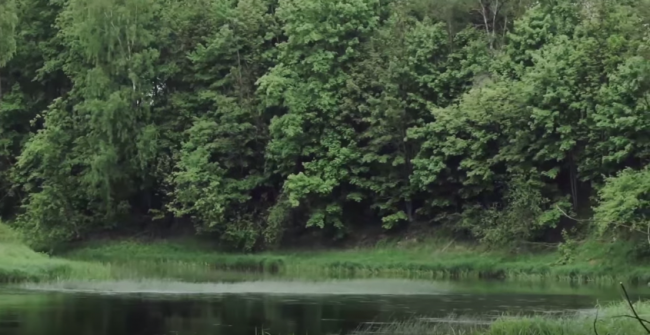 Ловля на маховую удочку в городе