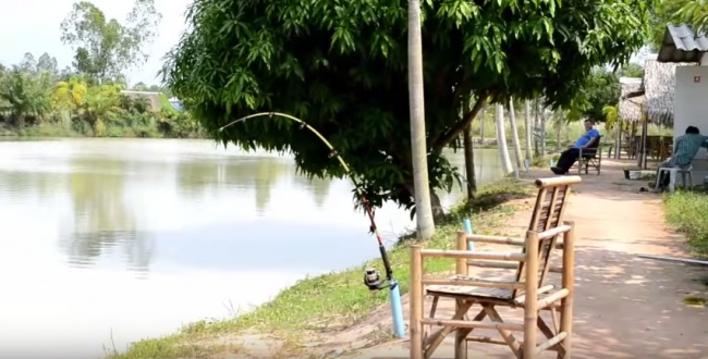 Платная рыбалка в Тайланде