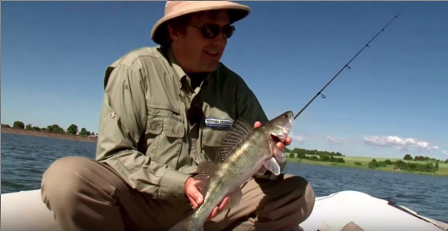 Блесна ЦИКАДА - Всё о ловле на блейдбейты от братьев Щербаковых видео