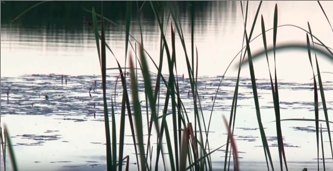 Блесна ЦИКАДА - Всё о ловле на блейдбейты от братьев Щербаковых видео