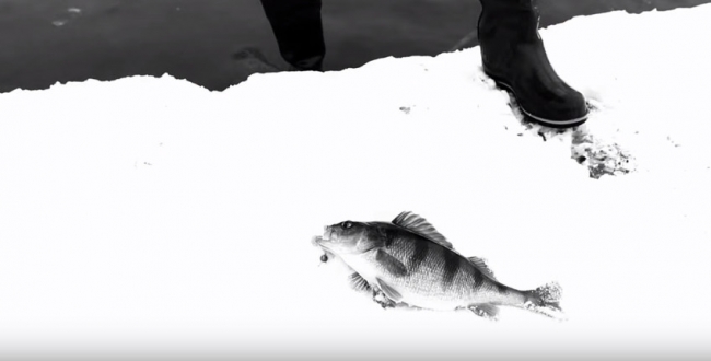 Зимняя ловля на спиннинг (Москва река)