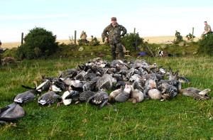 Охота на гусей в Шотландии