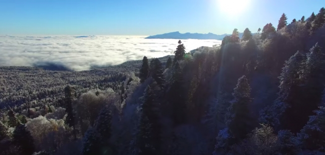 Природа Адыгеи