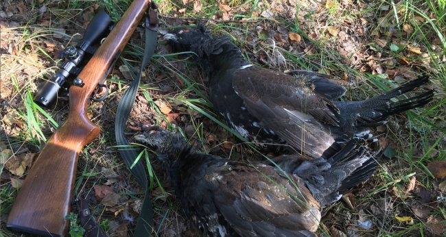 Охота в Республике Карелия