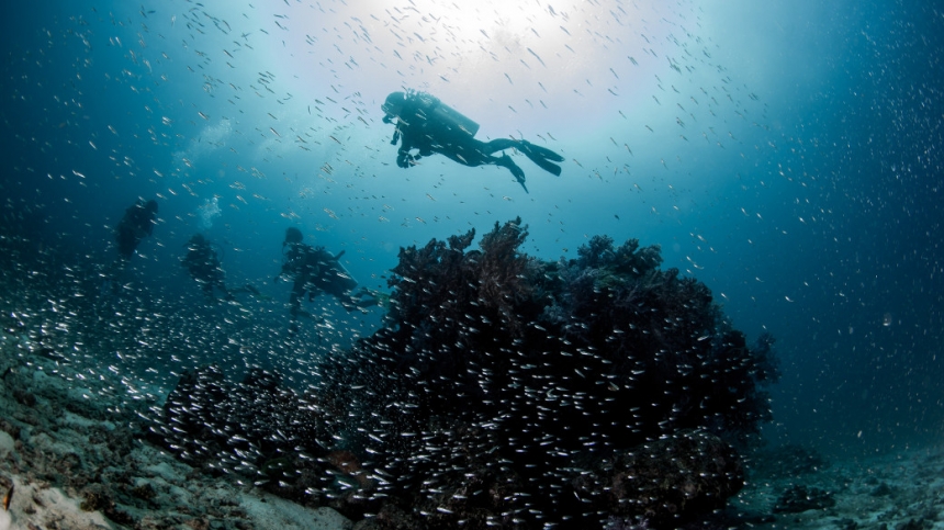 Подводная охота и дайвинг в Италии