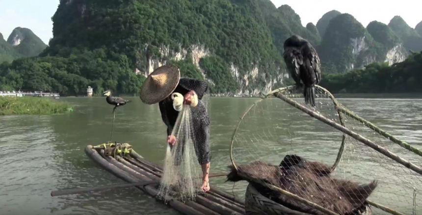 Рыбалка по-китайски