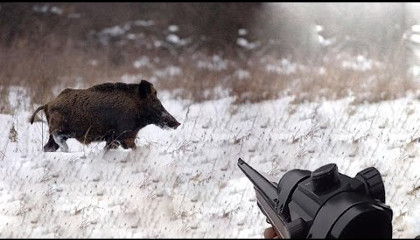 Загонная охота – особенности и правила безопасности