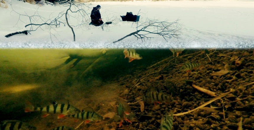 Ловля плотвы и окуня на мормышку