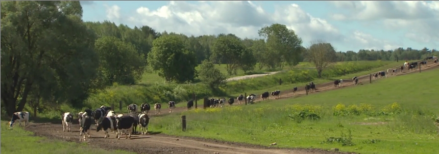 В деревне Горбенки