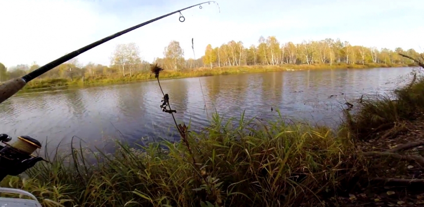 Отдыхающая поездка в деревню, рыбалка, испытание едой