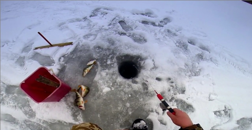 Рыбалка в феврале. Ловля окуня зимой. Щука. Густера. (Разведка на жерлицы)
