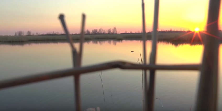 Открытие охоты на утку, шулюм и копчение утки! Открытие охоты на утку, шулюм и копчение утки!