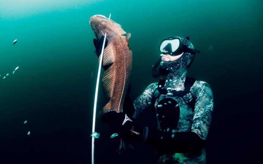 Отличный день на подводной охоте