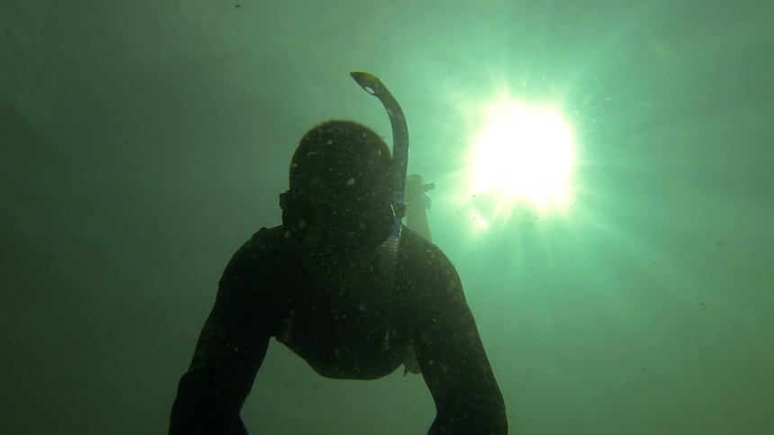 Отличный день на подводной охоте