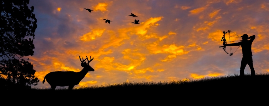 Охота с луком в России 2017