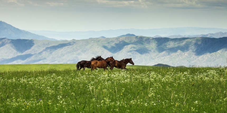 В Казахстан на рыбалку