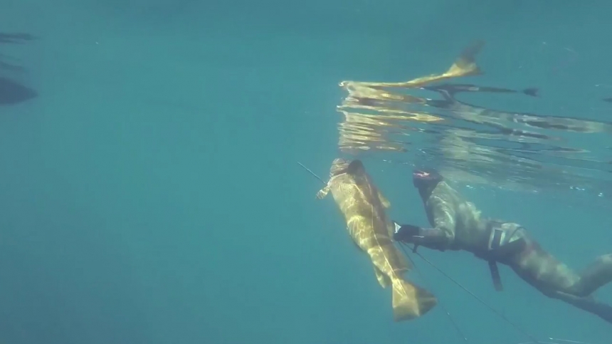 Подводная охота в Норвегии