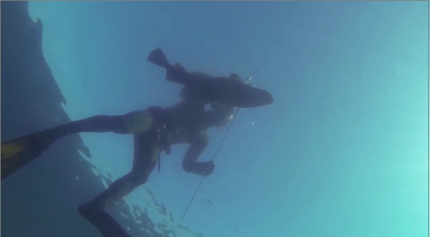 Подводная охота в Норвегии