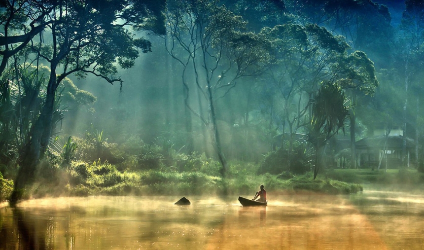 Обитатели реки Амазонка