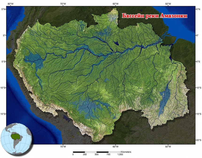 Обитатели реки Амазонка