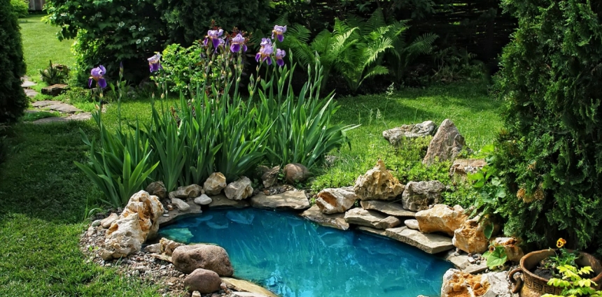 Идеи для благоустройства садового участка