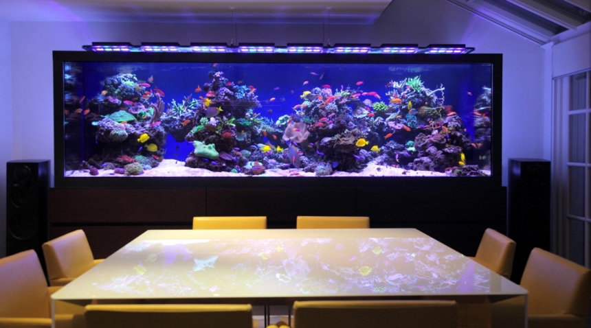 Морской аквариум дома
