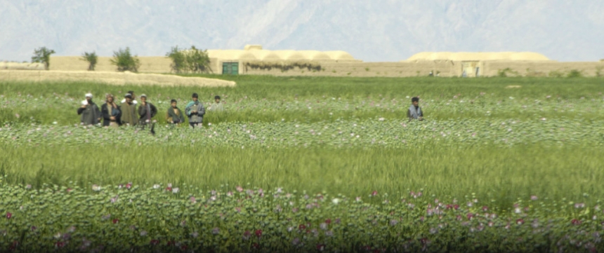 Опиум для террора